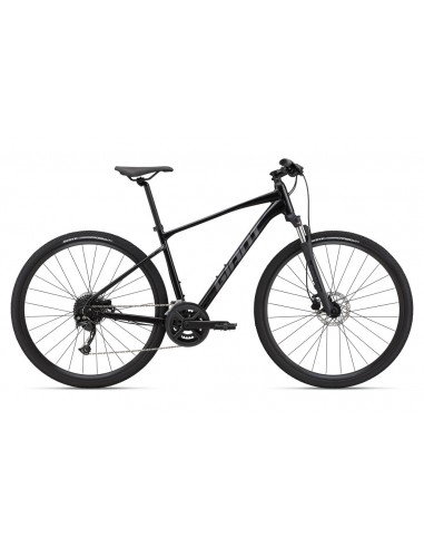 GIANT ROAM DISC 2 M